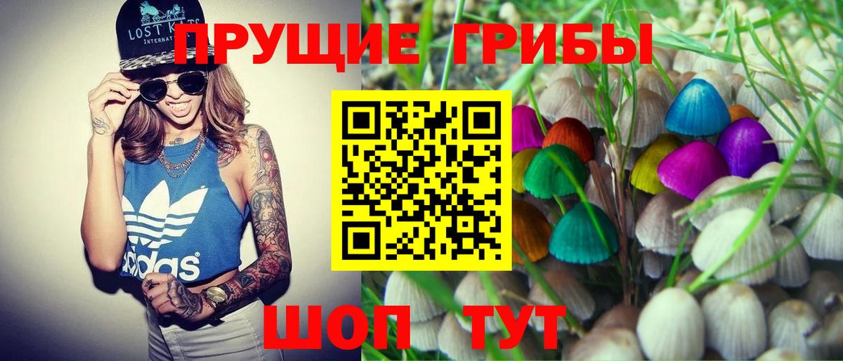Галлюциногенные грибы прущие грибы Томск
